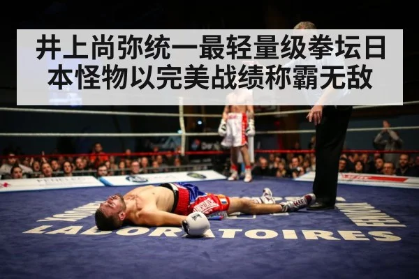 boxing ring knockout