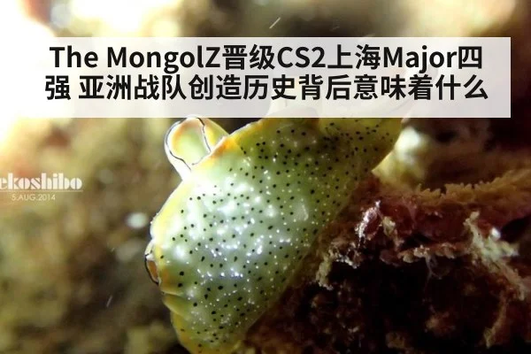 The MongolZ晋级CS2上海Major四强 亚洲战队创造历史背后意味着什么